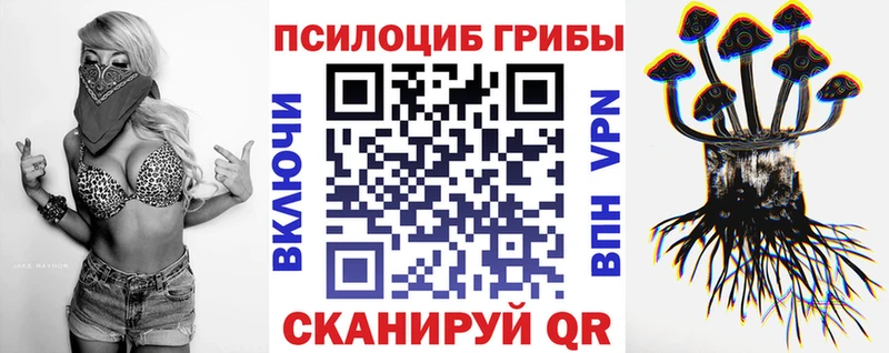 Псилоцибиновые грибы мицелий  сколько стоит  Озёры 